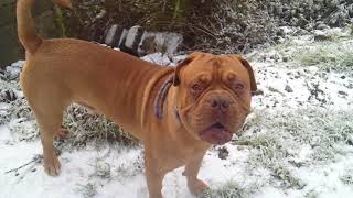 Patience Overides Desire