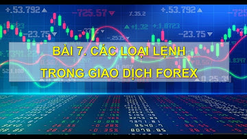 Forex Master 2 | Bài 7  Các loại lệnh trong giao dịch Forex