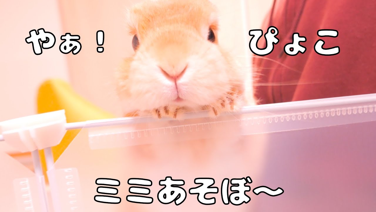 特撮 Ouch & Oops!! FLUFFY MIICKYEEY 特撮 Ouch & Oops!! FLUFFY MIICKYEEY Ouch & Oops (@ouchnoops