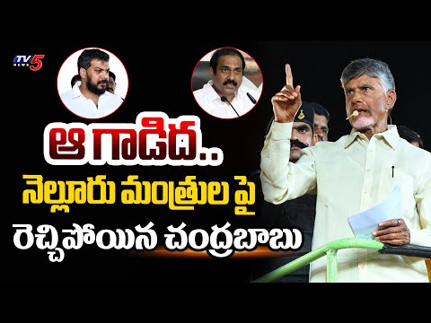 ఆ గాడిద..| Chandrababu Sensational Comments On Nellore YCP MLAs Ministers | AP Elections 2024 | TV5 - TV5NEWS