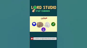 آشنایی با مواد مخدر هروئین هروئین اعتیاد Overdose موادمخدر Heroin Lordstudio 