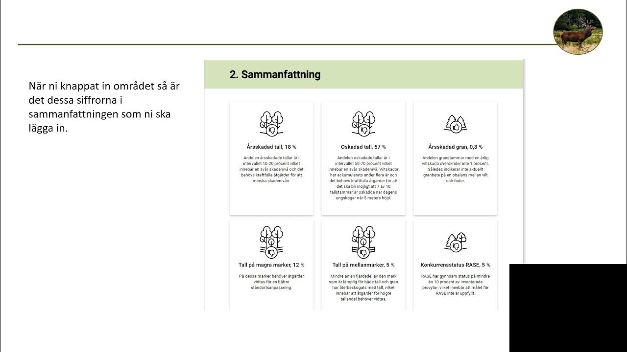 Att göra en förvaltningsplan - Viltstammar i balans 2.0 - YouTube