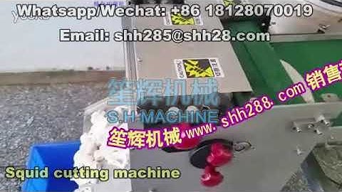 Squid ring cutting machine seafood cutter