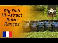 Big fish boilies  hiattract  french