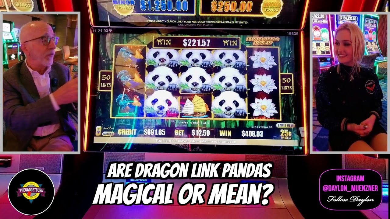 Dragon Link Panda Magic Slot Machine. Did We Do Well? #hardrockholly # ...