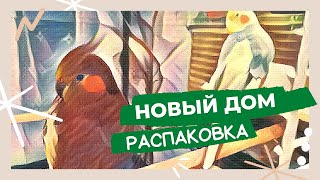 Быстрая распаковка нового вольера попугаев Бони и Яши.