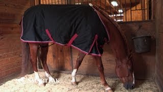 Rockin' SP Deluxe Waterproof Blanket