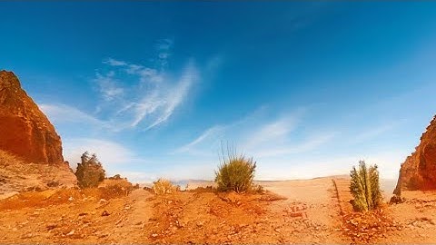 NVIDIA CANVAS PROJECT SHOWCASE