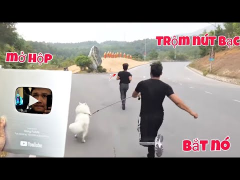 Video: Mọi người đều bị ám ảnh với Tanu “Chó gấu trúc”, và chúng tôi không đổ lỗi cho họ