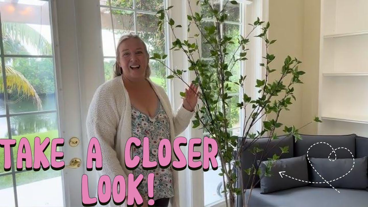 Look at this Beautiful Artificial Citrus Tree!