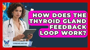 How Does The Thyroid Gland Feedback Loop Work? - Thyroid Wellness Hub