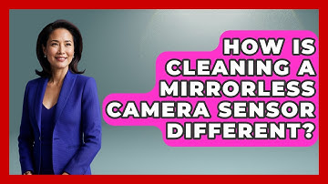 How Is Cleaning A Mirrorless Camera Sensor Different? - Bird Watching Diaries