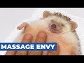 Youtube Thumbnail title
