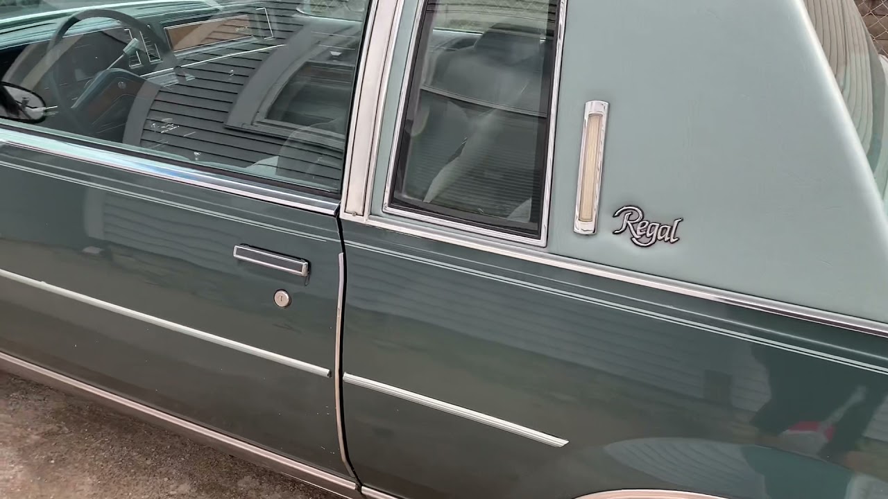 81 Buick REGAL (MINT)