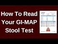 GI-MAP Overview With Treatment Suggestions