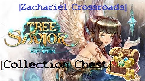 Tree of Savior | Found Collection Chest | Zachariel Crossroads