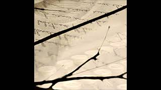 Lost Script - Sea Of Silence