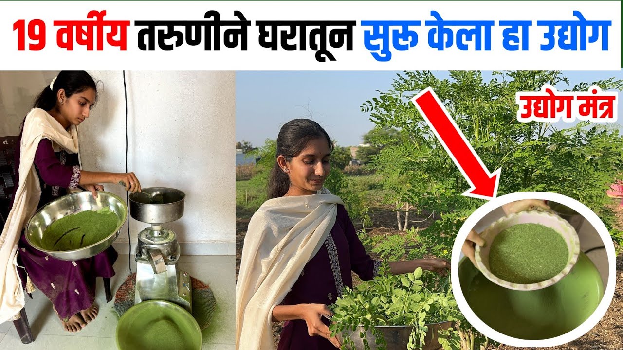 विस वर्षाच्या तरुणीचा शेतीपूरक व्यवसाय | Moringa powder | कडीपत्ता पावडर | शेवगा पावडर |Udyog Mantra