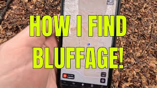 Bluffage Chasing