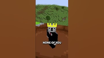 Adressing The Happy Ghast Comments...