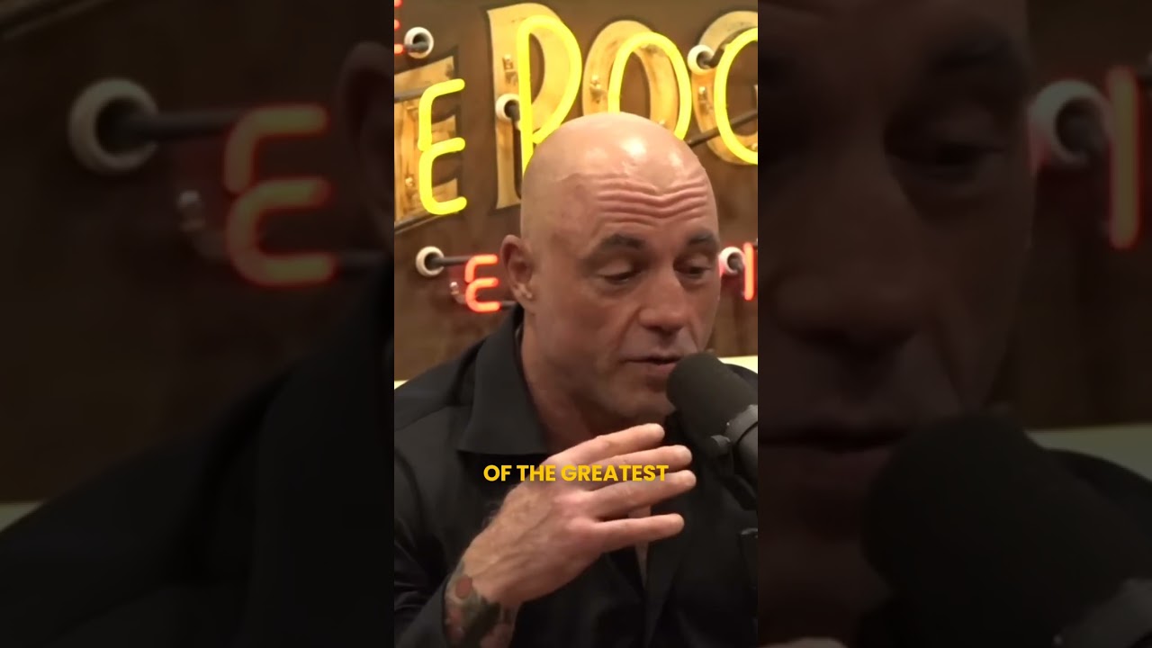 Trump & Joe talk UFC