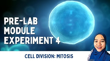Pre Experiment 4: Cell Division (Mitosis)