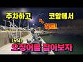 무늬오징어 에깅 연습하면서 손맛보기 좋은 내항포인트(영덕)