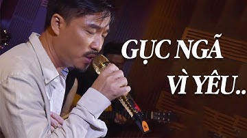 Phản Bội - Gục Ngã Vì Yêu | Nhạc Vàng Buồn Thất Tình - Nghe Đừng Khóc Nhé