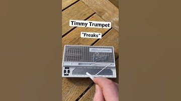 Thumbnail of Freaks by Timmy Trumpet on the Stylophone #stylophone #music