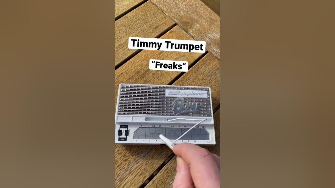 Freaks by Timmy Trumpet on the Stylophone #stylophone #music