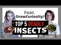 5 Deadly Insects ft. Draw Curiosity! CC