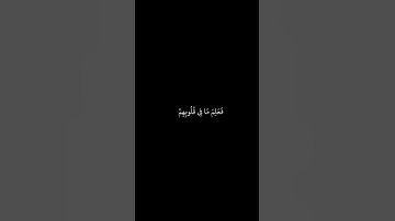 عبدالرحمن مسعد || شاشه سوداء قران || لقد رضي الله عن المؤمنين || سورة الفتح