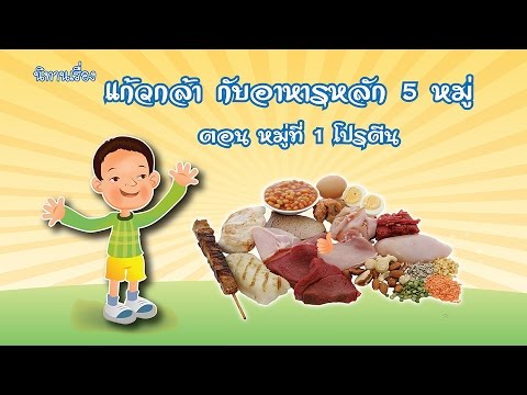 อาหารหลัก 5 หมู่  ตอน หมู่ที่ 1 โปรตีน