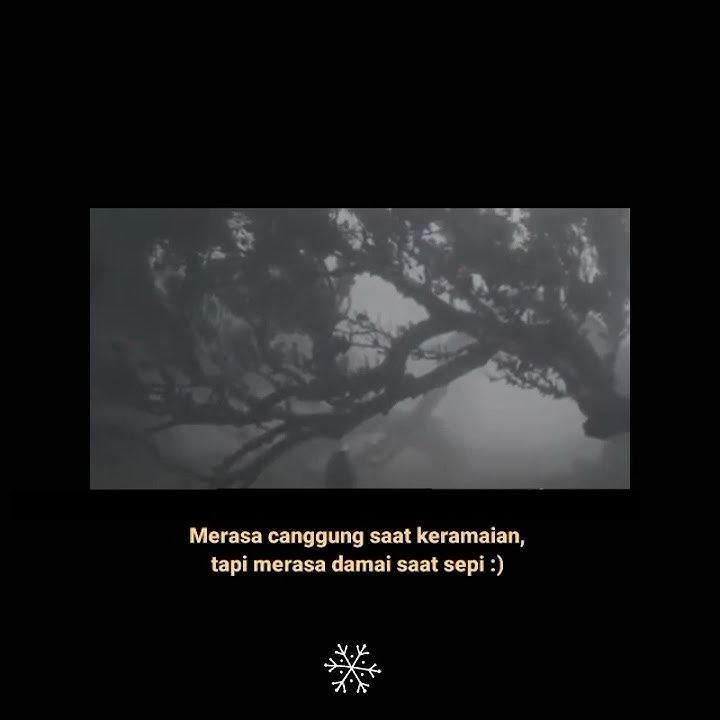 story WA keren { DAMAI } terbaru statusWa
