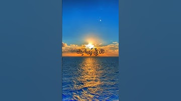 سورة الحشر #اسلام_صبحي #تلاوة_خاشعة