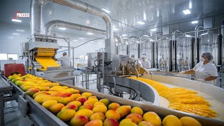 How MILLIONS of MANGOES are Harvested & How MANGO JUICE is Made in Factories