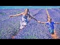 Bhanware ne khilaya phool phool New WhatsApp status Whatsapp Status Video Download Free