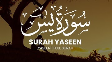 Surah Yaseen - Tarek Mohammad | سورة يس طارق محمد