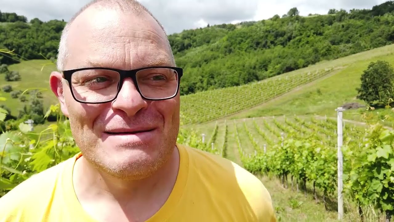 Bisenti | Montonico, il vino identitario del paese di Ponzio Pilato: ora anche in spumante