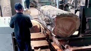 HOW TO CUTTING WOOD PROFESSIONALLY EP45 #satifying #cutting #wood