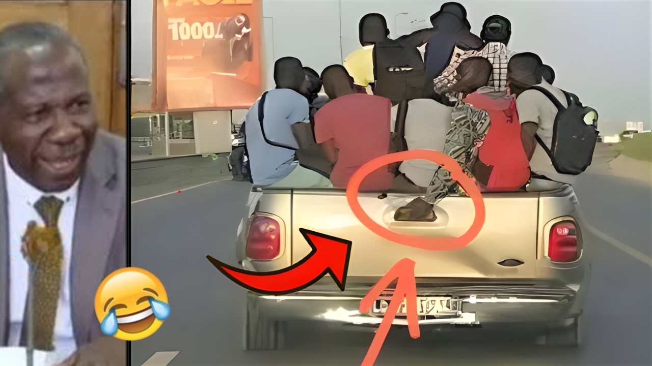 100 Best Funniest Videos of 2026– Try Not to Laugh 🤣(12)