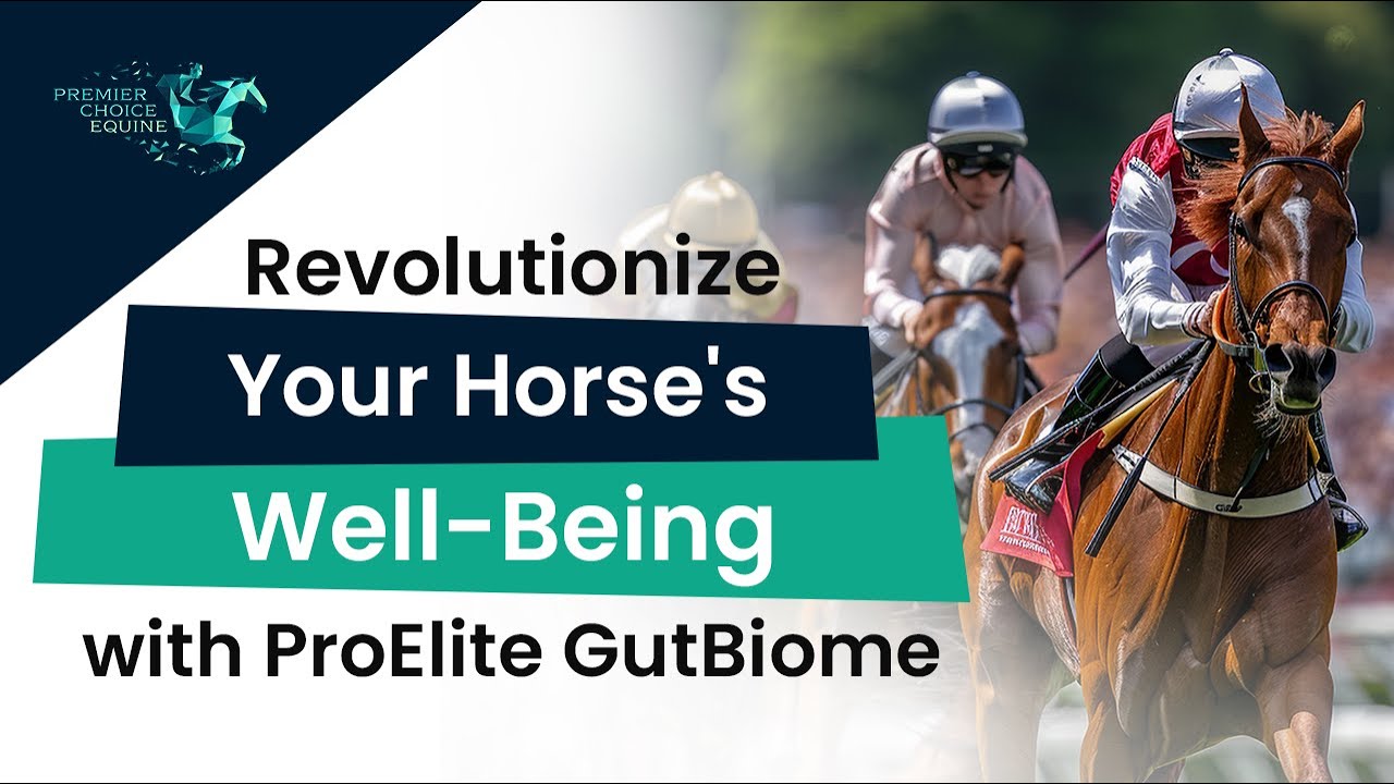 Revolutionize Your Horse's Well-Being with ProElite GutBiome