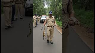 Celebrity "Monkey vs Python: Rule of Survival" Wealth