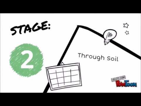 Sulfur Cycle