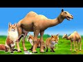 ऊँटनी का दूध की चोरी और लोमड़ी Camel Milk Lion and The Fox Utni ka Doodh Ki Chori aur Lomdi Kahani