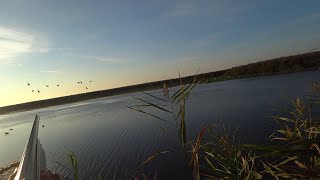 второй день открытия охоты в прекрасной компании в дельте Волги. Вода уходит потихоньку.