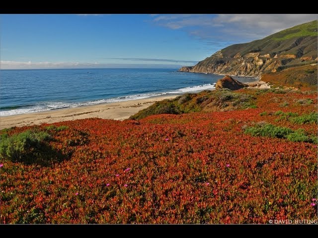 The California Coast (w Music) 1 HR HEALING Nature Relaxation Video w Music  1080p class=