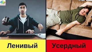 Как предотвратить лень и всегда оставаться активным?