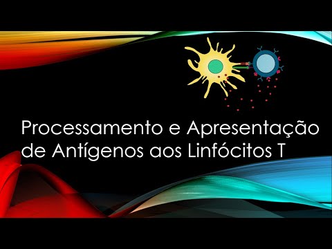 Vídeo: Linfócitos T