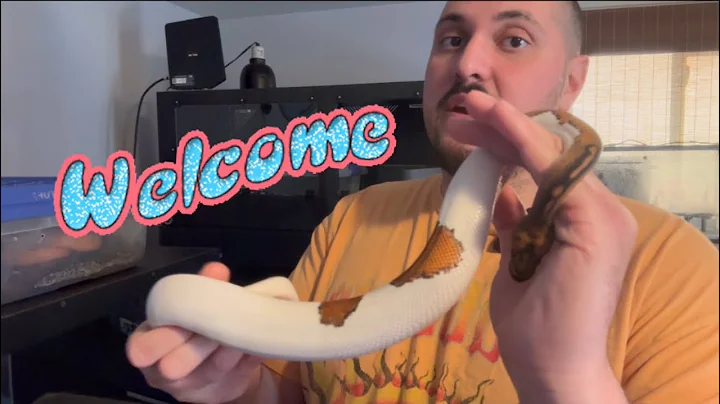 5 Tips for 1st Time Snake Keepers